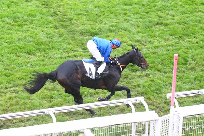 Photo d'arrivée de la course pmu PRIX CHALET à AUTEUIL le Dimanche 27 novembre 2022