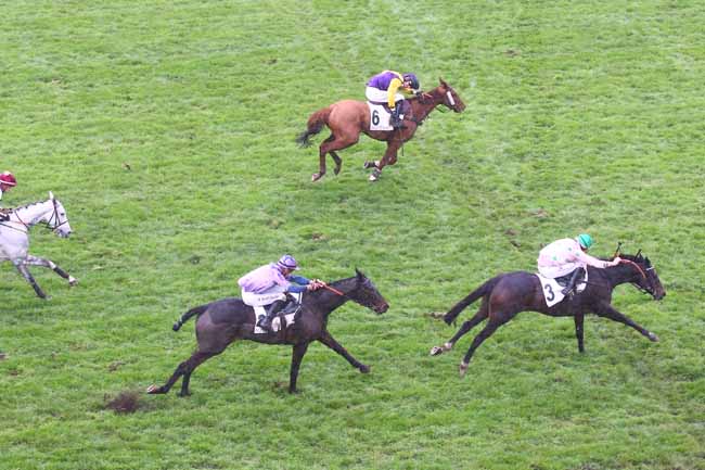 Photo d'arrivée de la course pmu PRIX BOUM à AUTEUIL le Dimanche 27 novembre 2022