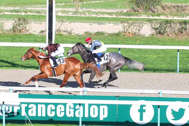 Photo d'arrivée de la course pmu PRIX DE LA POMMERAIE à DEAUVILLE le Mardi 29 novembre 2022