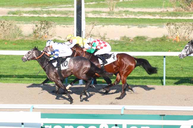 Photo d'arrivée de la course pmu PRIX DE MONTFORT à DEAUVILLE le Mercredi 30 novembre 2022