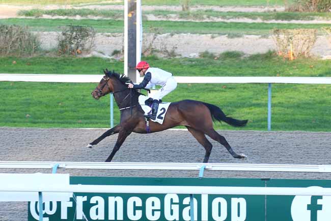 Photo d'arrivée de la course pmu PRIX MISS SATAMIXA - FONDS EUROPEEN DE L'ELEVAGE à DEAUVILLE le Mercredi 30 novembre 2022