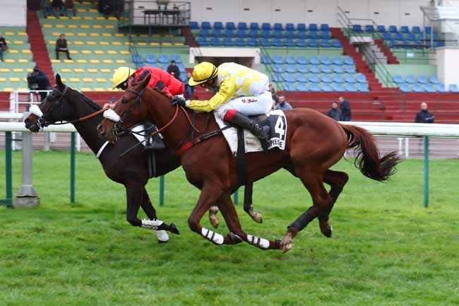 Photo d'arrivée de la course pmu PRIX ROGER DE MINVIELLE à COMPIEGNE le Mercredi 30 novembre 2022