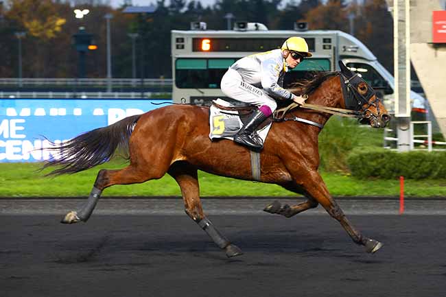 Photo d'arrivée de la course pmu PRIX HERVE CERAN-MAILLARD à PARIS-VINCENNES le Samedi 3 décembre 2022