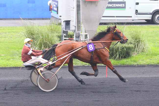 Photo d'arrivée de la course pmu LETROT OPEN DES REGIONS - 4 ANS à PARIS-VINCENNES le Dimanche 4 décembre 2022