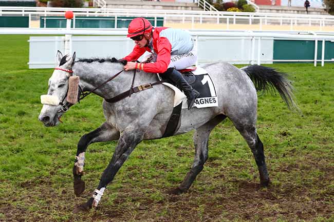 Photo d'arrivée de la course pmu PRIX DE L'ESCOURS à CAGNES-SUR-MER le Lundi 12 décembre 2022