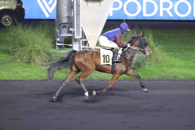 Photo d'arrivée de la course pmu PRIX DE JONCHERY à PARIS-VINCENNES le Lundi 12 décembre 2022