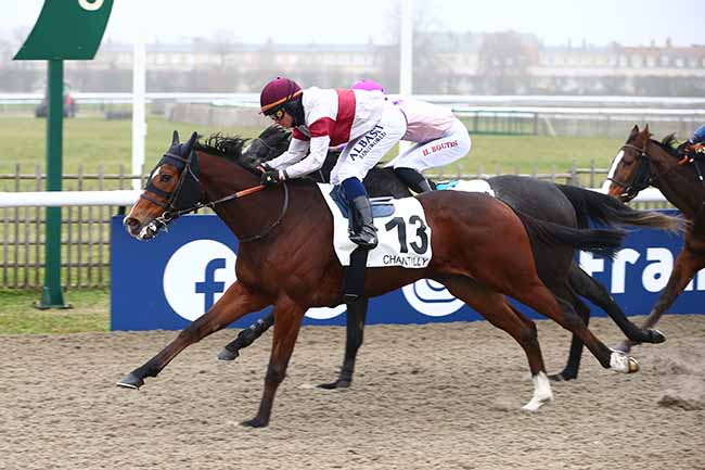 Photo d'arrivée de la course pmu PRIX DU CHEMIN DES ROSES à CHANTILLY le Samedi 17 décembre 2022