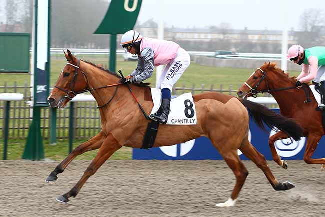 Photo d'arrivée de la course pmu PRIX DU POTEAU DES BRULIS à CHANTILLY le Samedi 17 décembre 2022