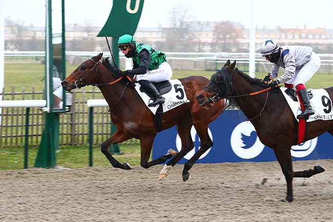 Photo d'arrivée de la course pmu PRIX D'UBERLINGEN à CHANTILLY le Samedi 17 décembre 2022