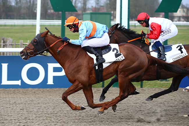 Photo d'arrivée de la course pmu PRIX D'EPSOM à CHANTILLY le Samedi 17 décembre 2022