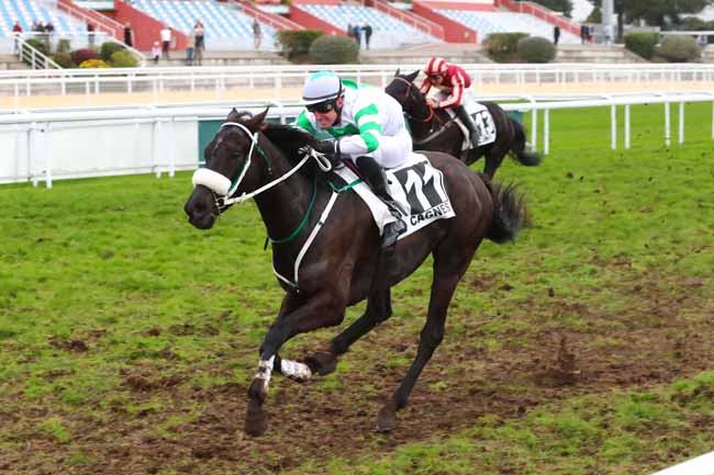 Photo d'arrivée de la course pmu PRIX DE CARDIFF à CAGNES-SUR-MER le Lundi 19 décembre 2022