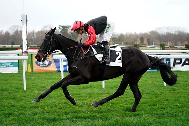 Photo d'arrivée de la course pmu PRIX PMU CAFE KENNEDY - SAINT-PALAIS (PRIX ABEL RAMON DIAGO) à PAU le Mardi 20 décembre 2022