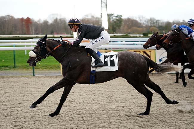 Photo d'arrivée de la course pmu PRIX PMU LE LONGCHAMP - PAU (PRIX DE LA COMMANDE) à PAU le Mardi 20 décembre 2022