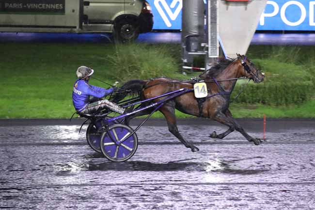 Photo d'arrivée de la course pmu PRIX DE PONS à PARIS-VINCENNES le Mardi 20 décembre 2022