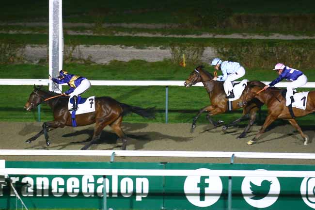 Photo d'arrivée de la course pmu PRIX THE WONDER à DEAUVILLE le Mardi 20 décembre 2022
