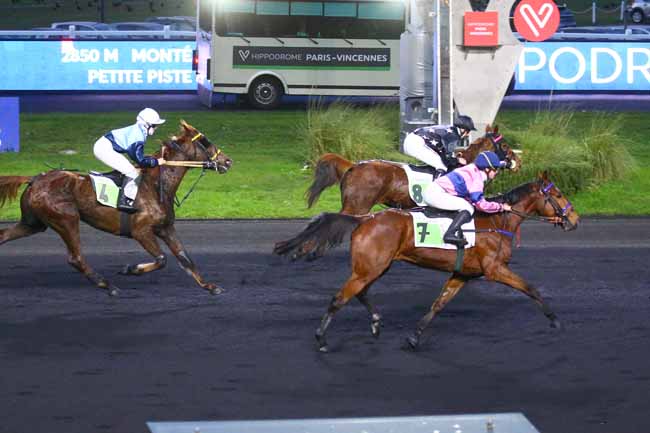 Photo d'arrivée de la course pmu PRIX DE GAMBAIS à PARIS-VINCENNES le Dimanche 25 décembre 2022
