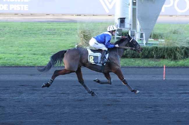 Photo d'arrivée de la course pmu PRIX DE THOISSEY à PARIS-VINCENNES le Mardi 27 décembre 2022