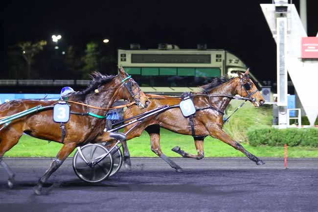 Photo d'arrivée de la course pmu PRIX DE SALVANHAC à PARIS-VINCENNES le Jeudi 29 décembre 2022