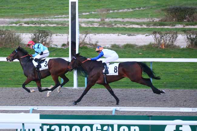 Photo d'arrivée de la course pmu PRIX DE L'HERMERAIE à DEAUVILLE le Jeudi 29 décembre 2022