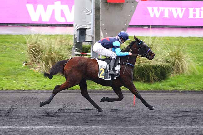 Photo d'arrivée de la course pmu PRIX WTW HIPCOVER ASSURANCES HIPPIQUES à PARIS-VINCENNES le Dimanche 1 janvier 2023