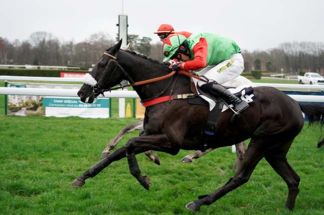 Photo d'arrivée de la course pmu PRIX ALFONSO DE PORTAGO à PAU le Lundi 2 janvier 2023