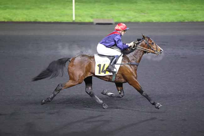 Photo d'arrivée de la course pmu PRIX DE GRETZ à PARIS-VINCENNES le Lundi 2 janvier 2023