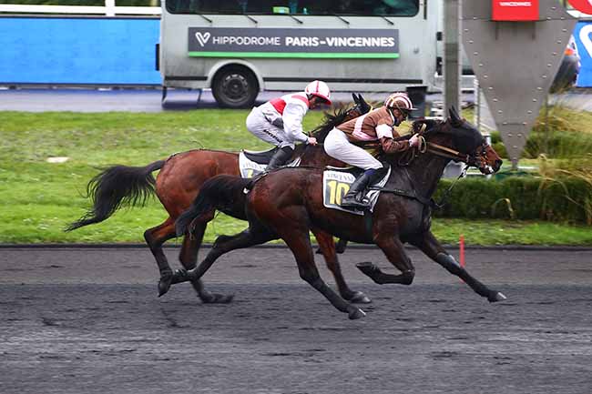 Photo d'arrivée de la course pmu PRIX DE BOULAY à PARIS-VINCENNES le Mardi 10 janvier 2023
