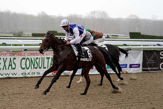 Photo d'arrivée de la course pmu PRIX PMU «CAFE DES LILAS» - PAU (PRIX DE MOMAS) à PAU le Mercredi 11 janvier 2023
