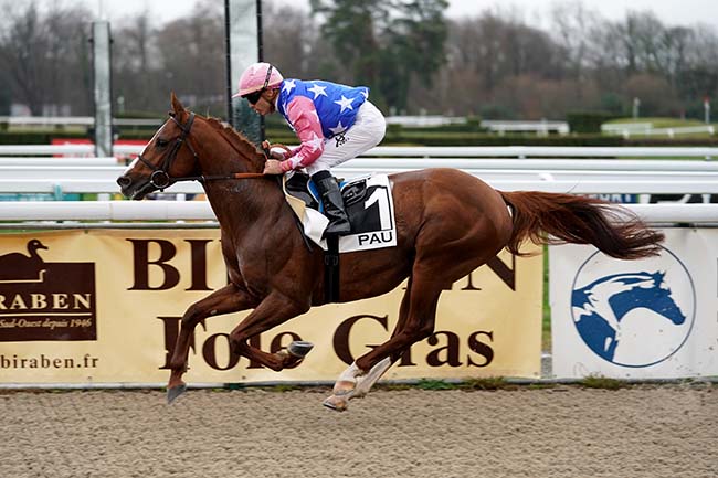 Photo d'arrivée de la course pmu PRIX WATHBA STALLIONS CUP - HARAS DE GELOS à PAU le Mercredi 11 janvier 2023