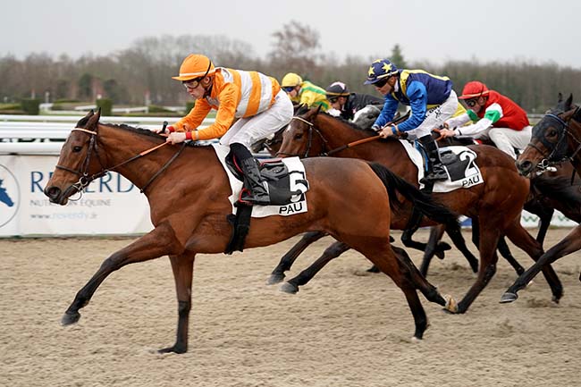 Photo d'arrivée de la course pmu PRIX PMU «TRESORS DU BANC D'ARGUIN» - MOLIETS ET MAA (PRIX DE CAUTERETS) à PAU le Mercredi 11 janvier 2023