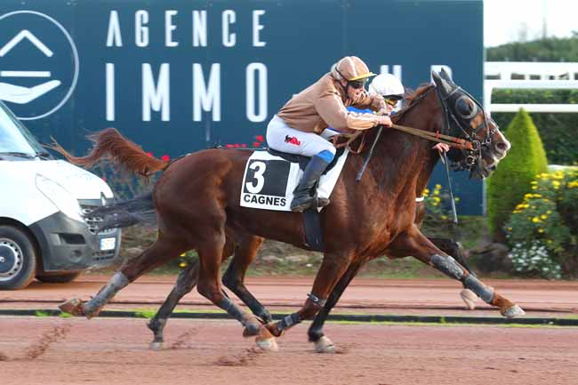 Photo d'arrivée de la course pmu PRIX HULK DE GODISSON à CAGNES-SUR-MER le Jeudi 12 janvier 2023