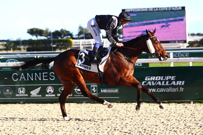 Photo d'arrivée de la course pmu PRIX DE SERANON à CAGNES-SUR-MER le Lundi 16 janvier 2023