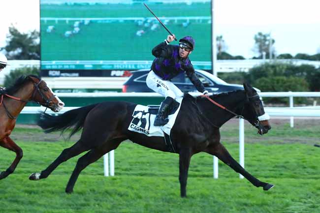 Photo d'arrivée de la course pmu PRIX YVES BACHELIER à CAGNES-SUR-MER le Lundi 16 janvier 2023