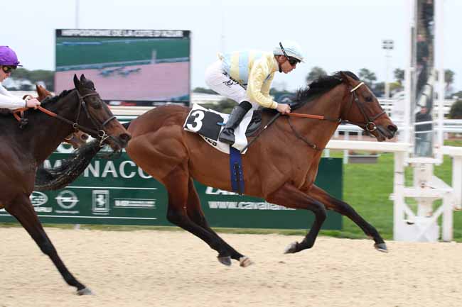 Photo d'arrivée de la course pmu PRIX DE LA SAUGE POURPREE à CAGNES-SUR-MER le Lundi 23 janvier 2023