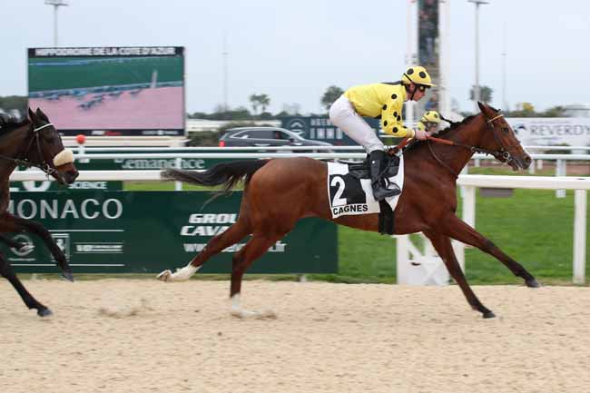 Photo d'arrivée de la course pmu PRIX DE ROQUEFORT-LES-PINS à CAGNES-SUR-MER le Lundi 23 janvier 2023