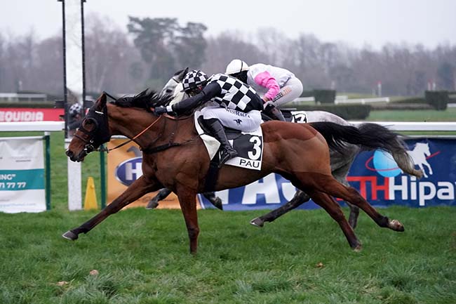 Photo d'arrivée de la course pmu PRIX WILLIAM KNAPP THORN à PAU le Mercredi 25 janvier 2023