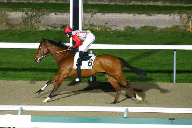 Photo d'arrivée de la course pmu PRIX DE GRANDOUET à DEAUVILLE le Vendredi 27 janvier 2023