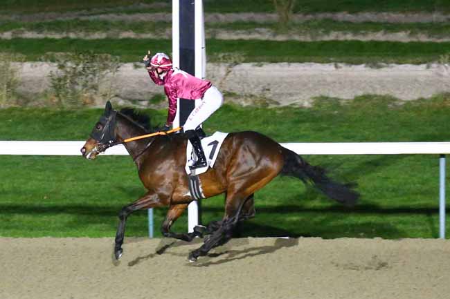 Photo d'arrivée de la course pmu PRIX DE LA POINTE DU SIEGE à DEAUVILLE le Vendredi 27 janvier 2023
