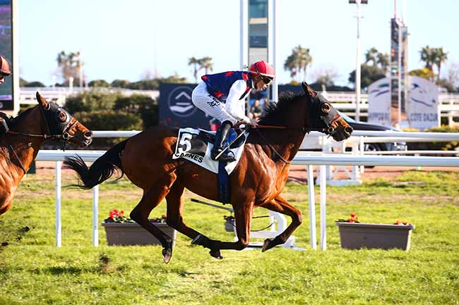 Photo d'arrivée de la course pmu PRIX DE CAILLE à CAGNES-SUR-MER le Mardi 31 janvier 2023
