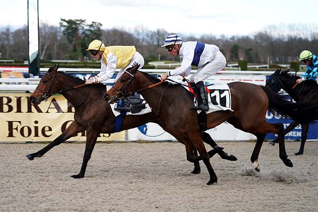 Photo d'arrivée de la course pmu PRIX D'ANGLET à PAU le Mercredi 1 février 2023