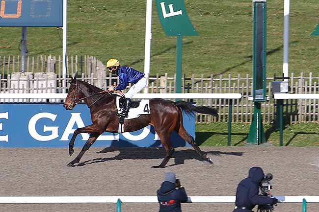 Photo d'arrivée de la course pmu PRIX DU ROND DU MANEGE à CHANTILLY le Lundi 6 février 2023