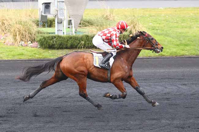 Photo d'arrivée de la course pmu PRIX DE RAMBOUILLET à PARIS-VINCENNES le Samedi 11 février 2023