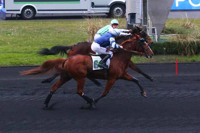 Photo d'arrivée de la course pmu PRIX DE LISIEUX à PARIS-VINCENNES le Samedi 11 février 2023