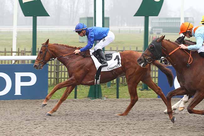 Photo d'arrivée de la course pmu PRIX DE CHAUVRY à CHANTILLY le Samedi 11 février 2023