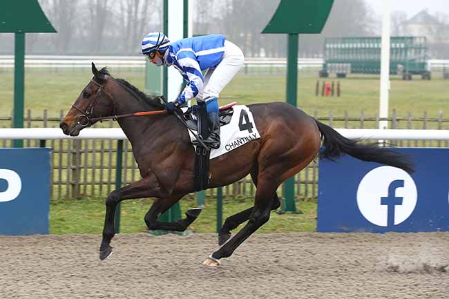 Photo d'arrivée de la course pmu PRIX DU CHENE DES TROIS FRERES à CHANTILLY le Samedi 11 février 2023