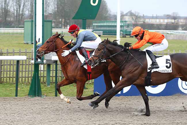 Photo d'arrivée de la course pmu PRIX DE LASSY à CHANTILLY le Samedi 11 février 2023