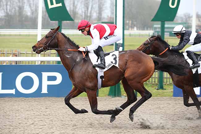 Photo d'arrivée de la course pmu PRIX DE LA ROUTE DES SUISSES à CHANTILLY le Samedi 11 février 2023