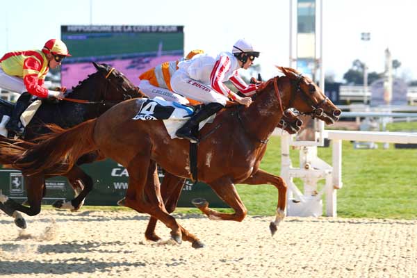 Photo d'arrivée de la course pmu PRIX DU LAUTIN à CAGNES-SUR-MER le Mercredi 15 février 2023