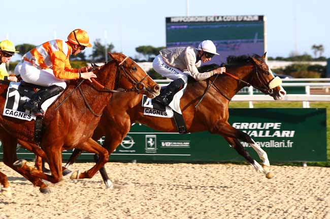 Photo d'arrivée de la course pmu PRIX DES MAURES à CAGNES-SUR-MER le Mercredi 15 février 2023