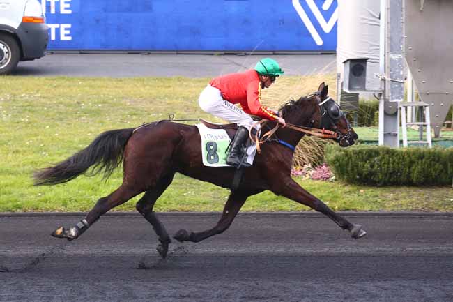 Photo d'arrivée de la course pmu PRIX HOLLY DU LOCTON à PARIS-VINCENNES le Jeudi 16 février 2023
